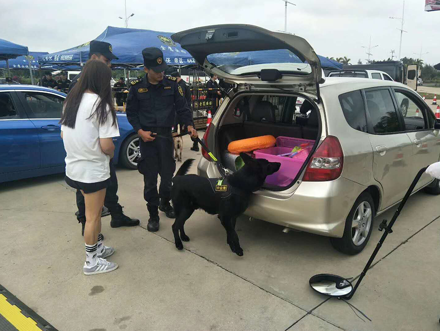 特保派出警犬排爆